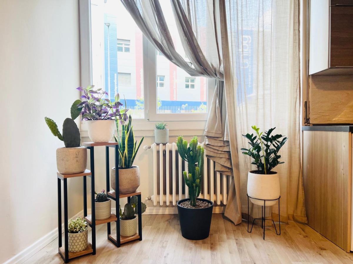 Sonila'S Home 1 贝尔加莫 外观 照片